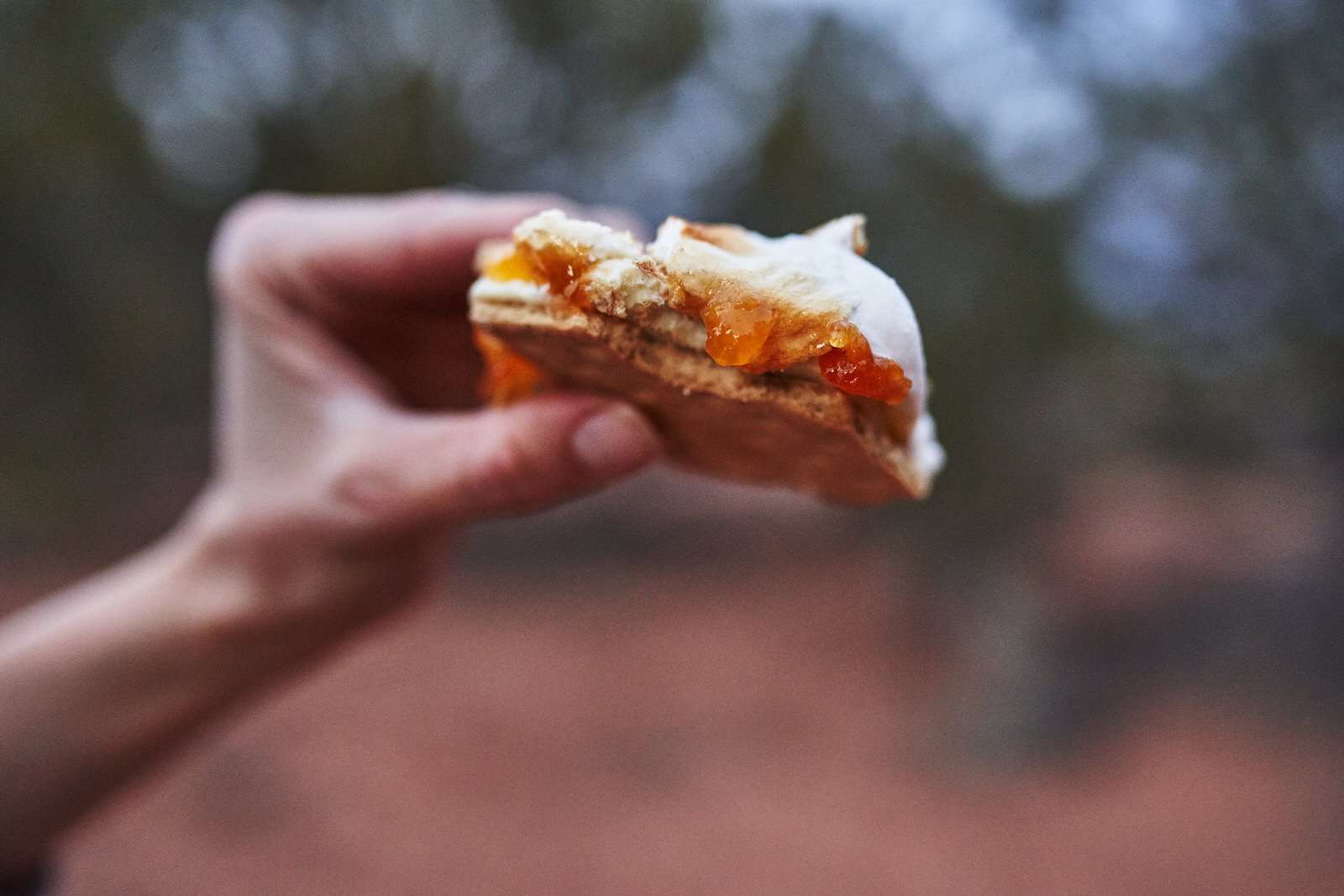 White chocolate apricot s’mores recipe for camping