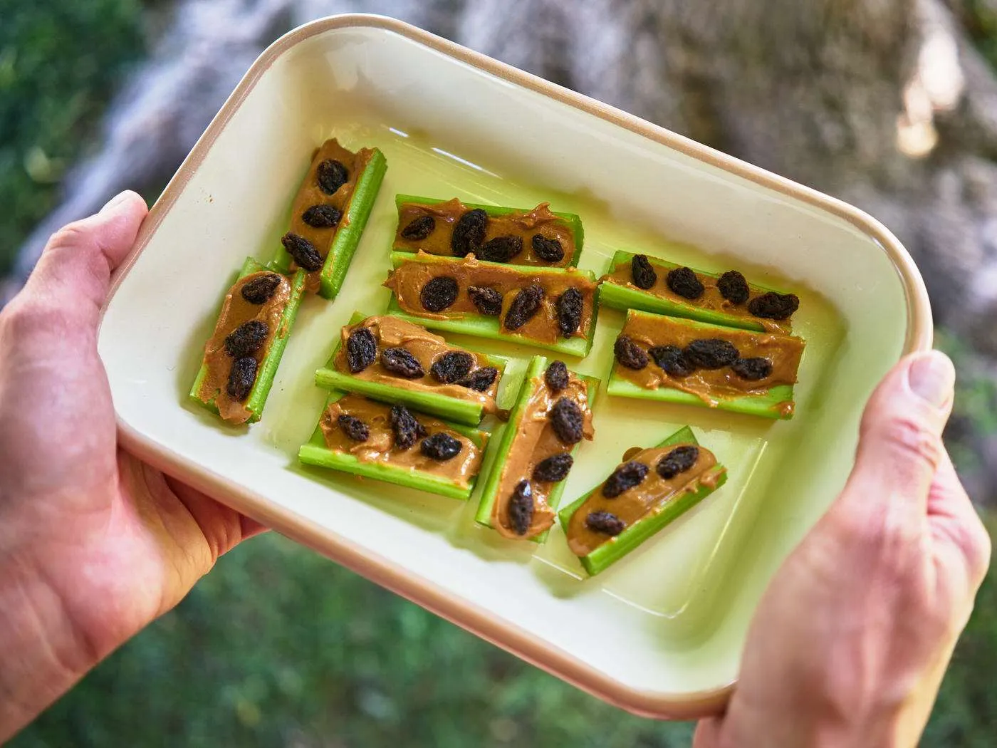 tray of celery sticks with peanut butter and raisins