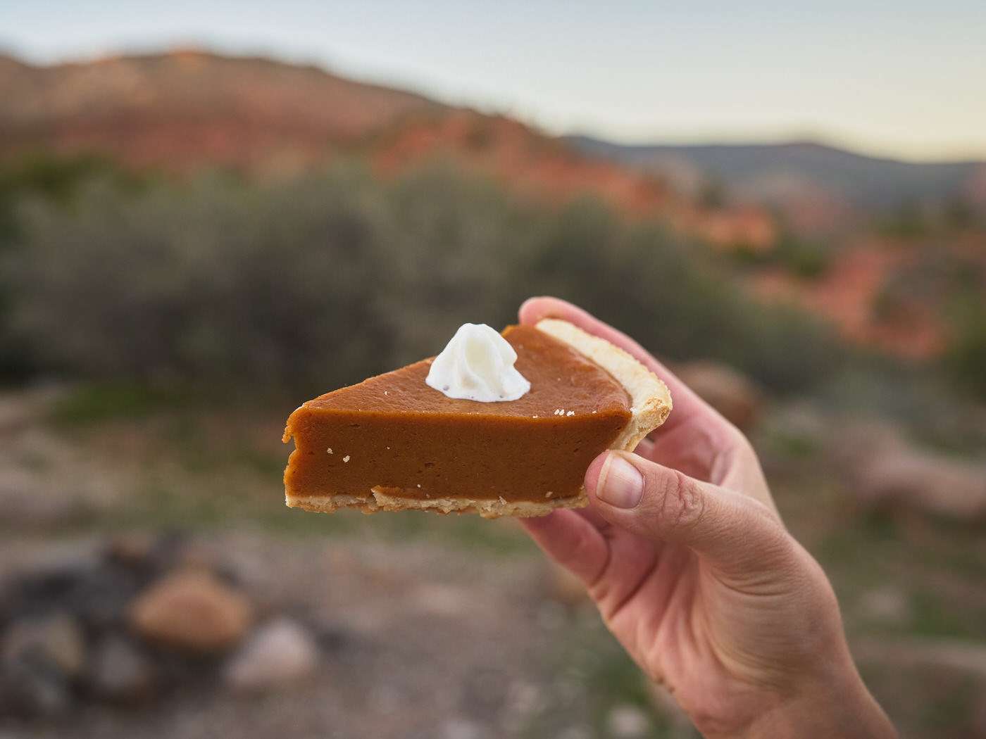 slice of pumpkin pie